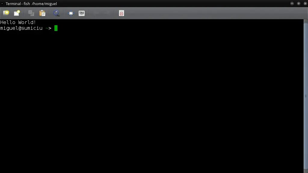 A new terminal with fish shell with a personal welcome message.